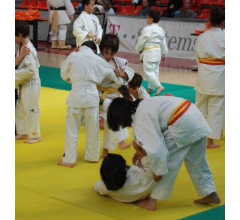 Introducción al judo (Lleida)