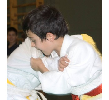 Judo en familia ( Madrid )