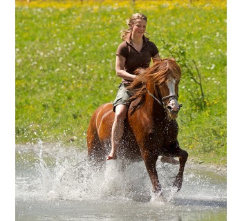 Paseo a caballo por el lago Sanabria