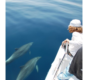 Ruta de los delfines de Cadaqués