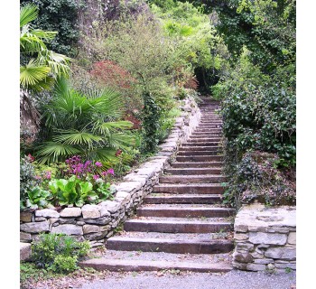 Excursión y visita guiada al jardín botánico de Santa Catalina   Taller de manualidades