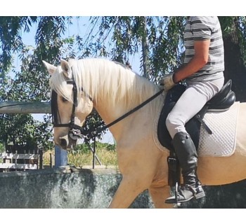 Dos clases de equitación 