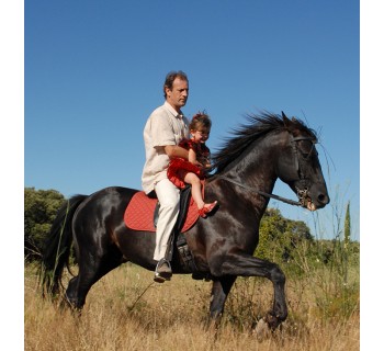 El mundo de los caballos (Huesca)