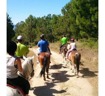 Aprende a montar a caballo en el Valle de Tiétar