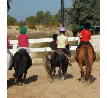 El mundo de los caballos (Castellón)