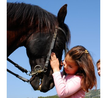 El mundo de los caballos (Girona)