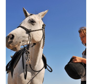 El mundo de los caballos (Almería)