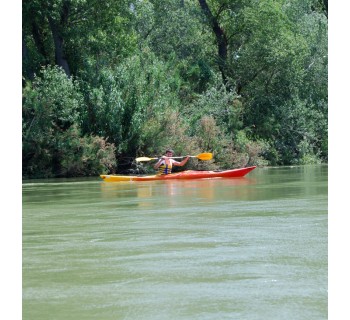 Aventura en el Delta del Ebro: Piraguas + Comida
