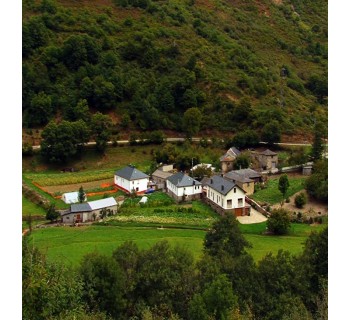 Casa Rural Martín