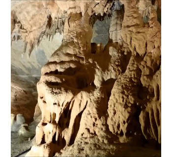 Casa El Olmo   Cena o Visita a las cuevas de Ortigosa (en temporada) y visita a bodegas   cata de vinos y mosto