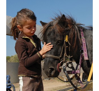 Actividades de granja   Paseo en poni o caballo (Orense)