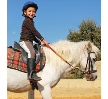 Actividades de granja   Paseo en poni o caballo (Almería)