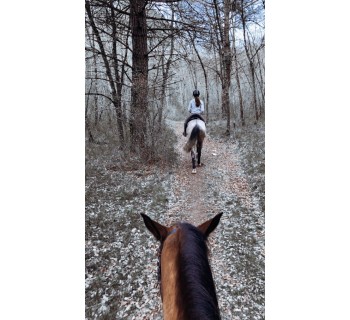 Paseo a caballo por el campo