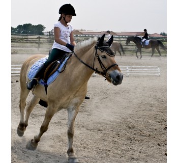 El mundo de los caballos (Almería)