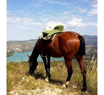 Paseo a caballo por Granada
