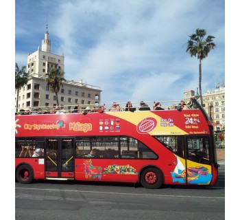 Paseo en bus turístico por Málaga