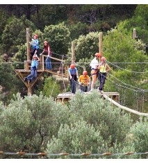 Arborismo en Huesca