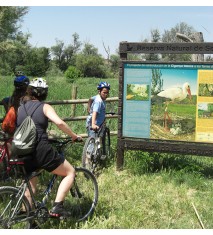 Ruta en bicicleta por la Reserva de Sebes + Tiro con arco