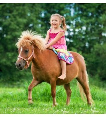 Primeros pasos en equitación con ponis