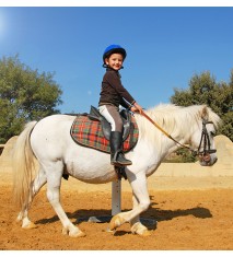 El mundo de los caballos (Teruel)