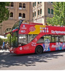 Paseo en bus turístico por Granada