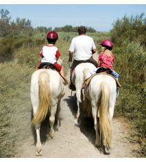 El mundo de los caballos (Alicante)
