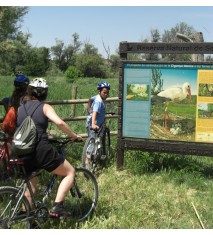 Descenso en piragua por el río Ebro   Ruta en bicicleta por la vía verde