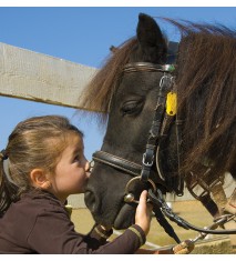 Actividades de granja   Paseo en poni o caballo (Vizcaya)
