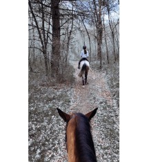 Paseo a caballo por el campo