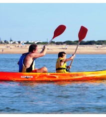 Ruta en kayak por las Marismas para dos 