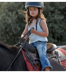 El mundo de los caballos (Navarra)