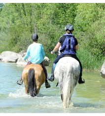 El mundo de los caballos (Segovia)