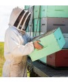 Conoce el mundo de la apicultura