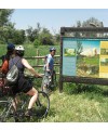 Ruta en bicicleta por la Reserva de Sebes + Tiro con arco