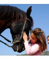 El mundo de los caballos (Girona)