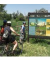 Descenso en piragua por el río Ebro   Ruta en bicicleta por la vía verde