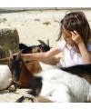 Actividades de granja   Paseo en poni o caballo (Pontevedra)